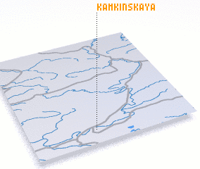 3d view of Kamkinskaya