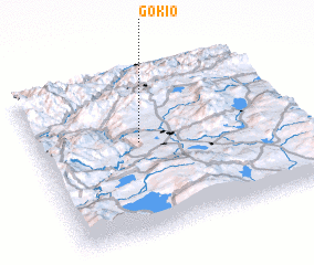 3d view of Gokio