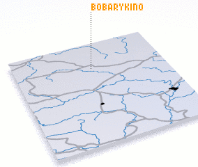 3d view of Bobarykino