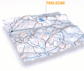 3d view of Toklucak