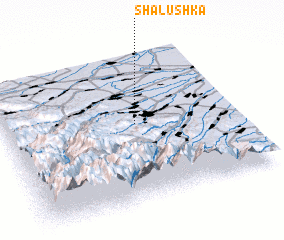 3d view of Shalushka
