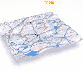 3d view of Toria