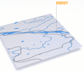 3d view of Kokuy