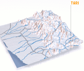 3d view of Tari