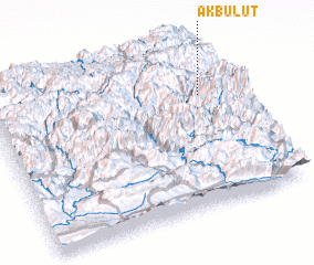 3d view of Akbulut