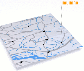 3d view of Kalinino