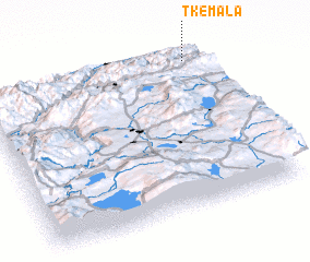 3d view of Tkemala