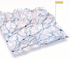 3d view of Ninia