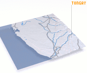 3d view of Tongay