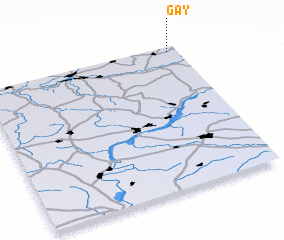 3d view of Gay
