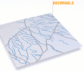 3d view of Bashmaale