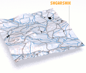 3d view of Shgarshik