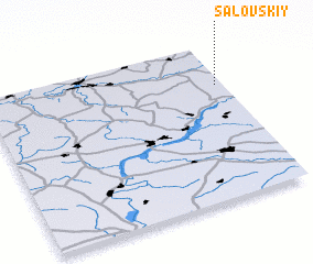 3d view of Salovskiy