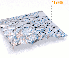 3d view of Psykod