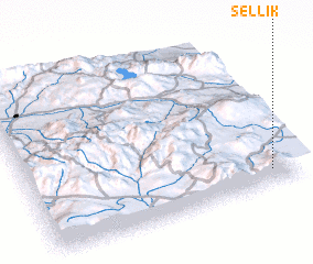 3d view of Sellik