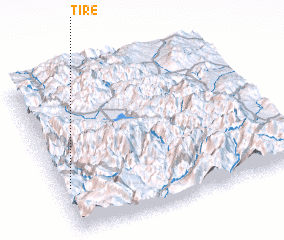 3d view of Tire