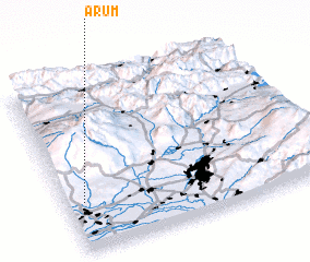 3d view of Arum