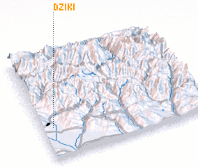 3d view of Dziki