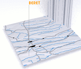 3d view of Beret