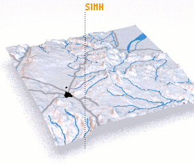 3d view of Simh