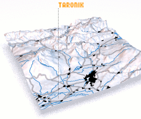 3d view of Taronik