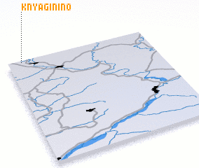 3d view of Knyaginino