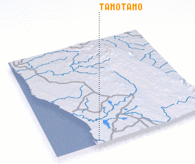 3d view of Tamotamo