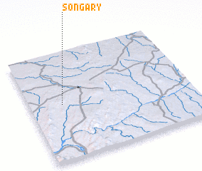 3d view of Songary