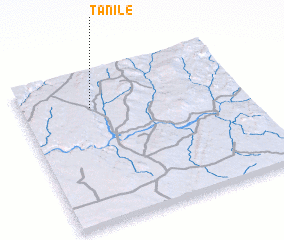 3d view of Tanile