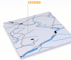 3d view of Sosnino