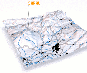 3d view of Saral