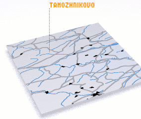 3d view of Tamozhnikovo