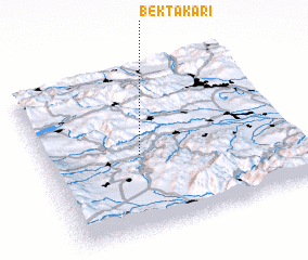 3d view of Bektakari