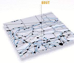 3d view of Brut