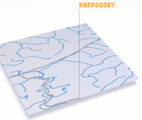 3d view of Karpogory