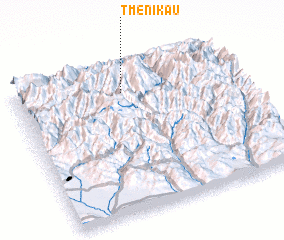 3d view of Tmenikau