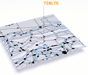 3d view of Tsalyk