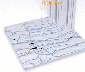 3d view of Tselinnyy