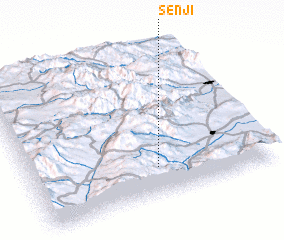 3d view of Senjī