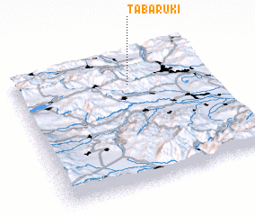 3d view of Tabaruki