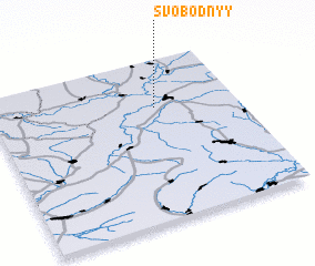 3d view of Svobodnyy