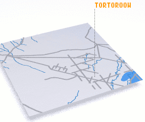 3d view of Tortoroow