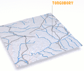 3d view of Tongobory