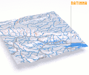 3d view of Natimma