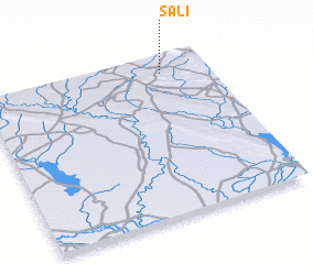 3d view of Sālī