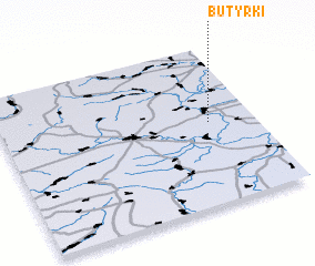 3d view of Butyrki