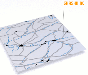 3d view of Shashkino