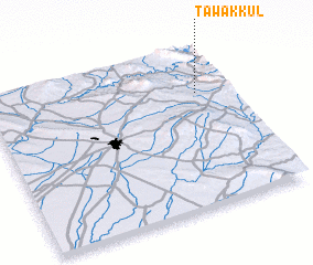 3d view of Tawakkul