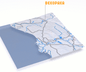 3d view of Bekopaka