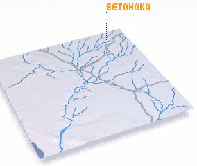 3d view of Betohoka